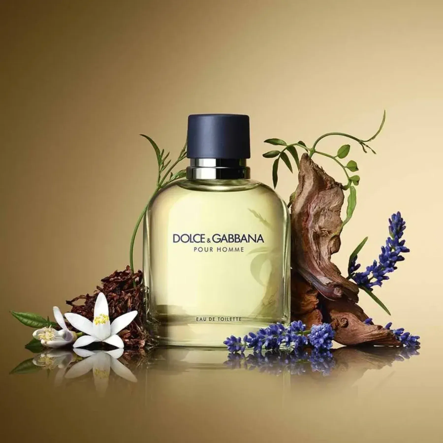 D-G POUR HOMME 120ML -2-